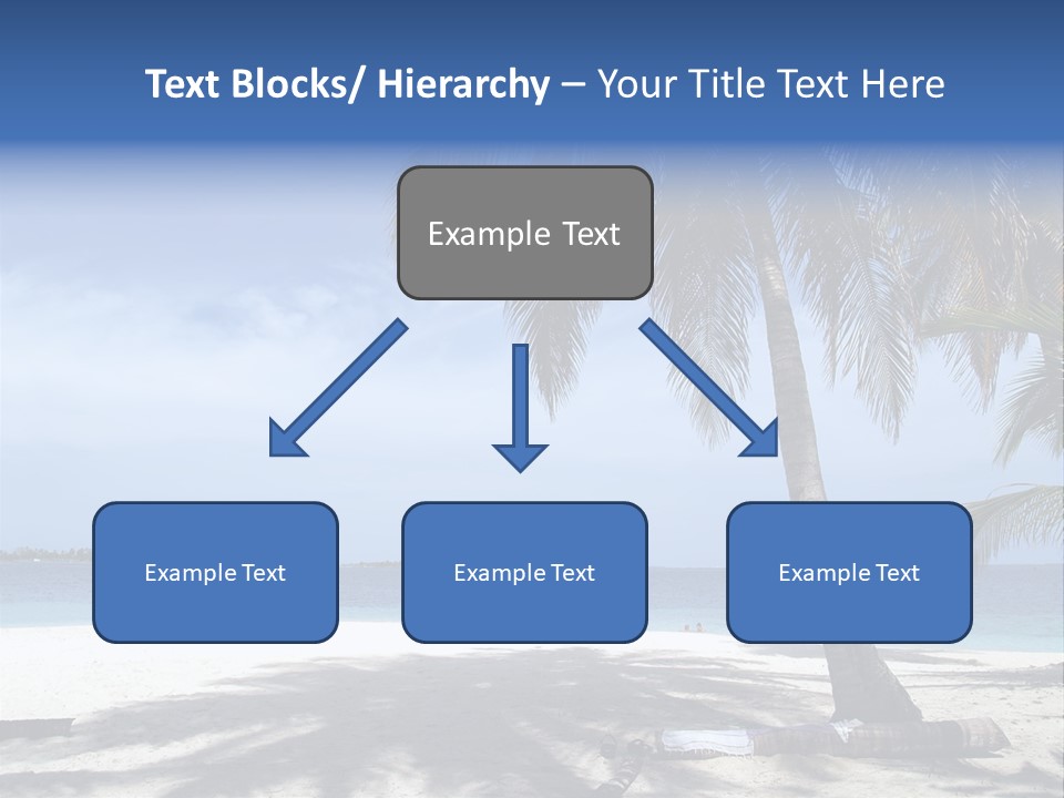 A Palm Tree On A Beach With The Ocean In The Background PowerPoint Template