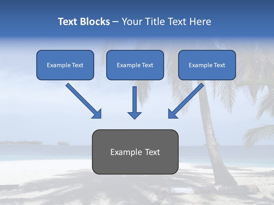 A Palm Tree On A Beach With The Ocean In The Background PowerPoint Template