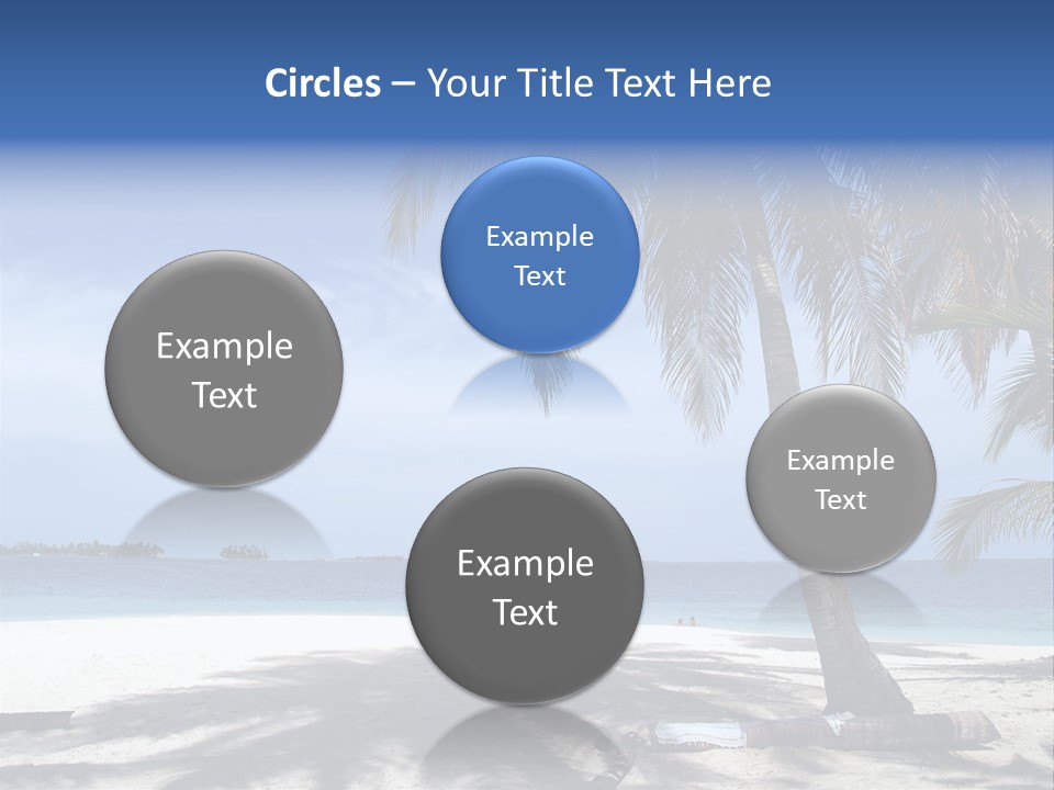 A Palm Tree On A Beach With The Ocean In The Background PowerPoint Template