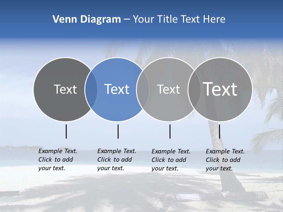 A Palm Tree On A Beach With The Ocean In The Background PowerPoint Template