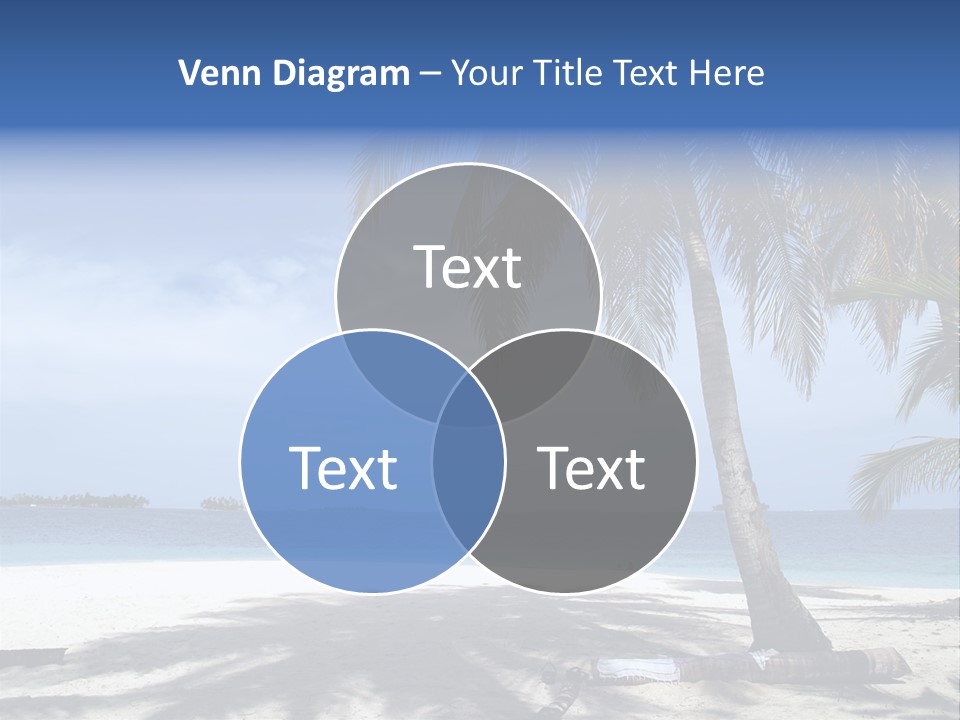 A Palm Tree On A Beach With The Ocean In The Background PowerPoint Template