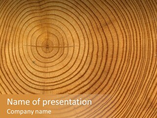 Close-Up Wooden Cut Texture PowerPoint Template