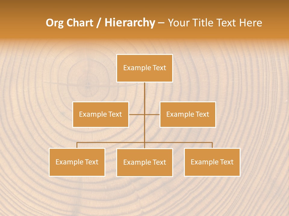 Close-Up Wooden Cut Texture PowerPoint Template