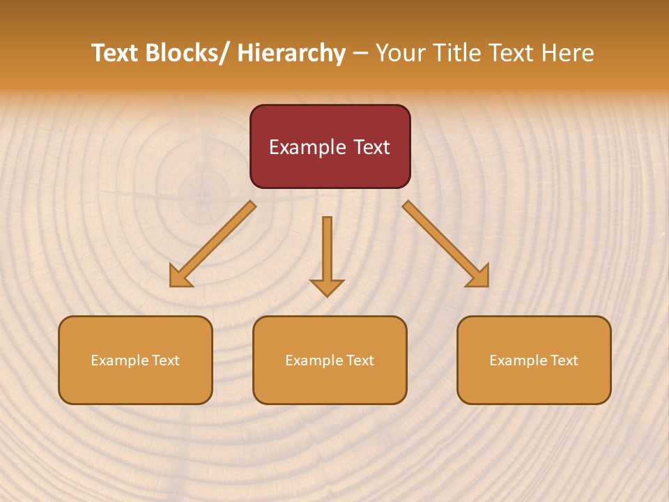 Close-Up Wooden Cut Texture PowerPoint Template