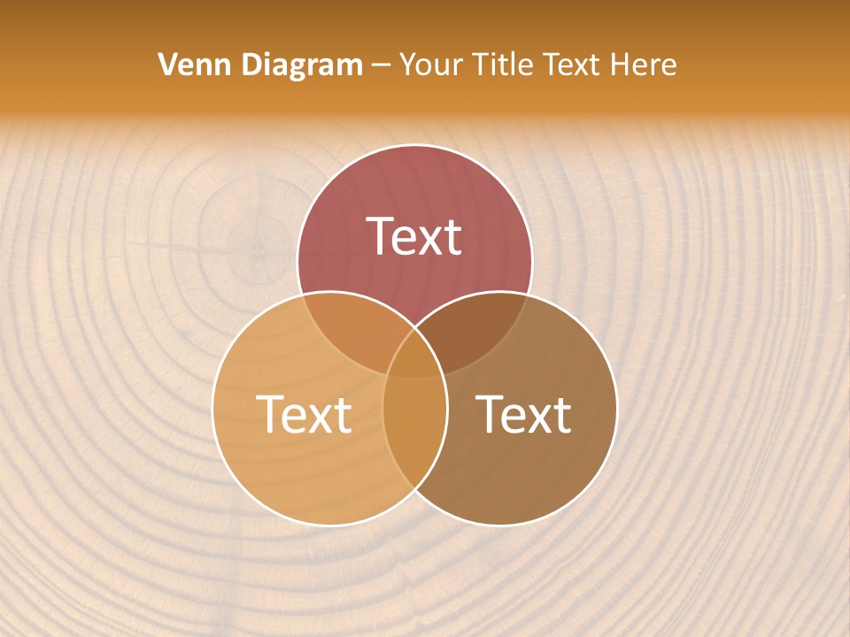 Close-Up Wooden Cut Texture PowerPoint Template