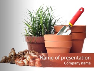 Spring Bulbs PowerPoint Template