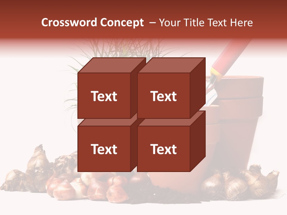 Spring Bulbs PowerPoint Template