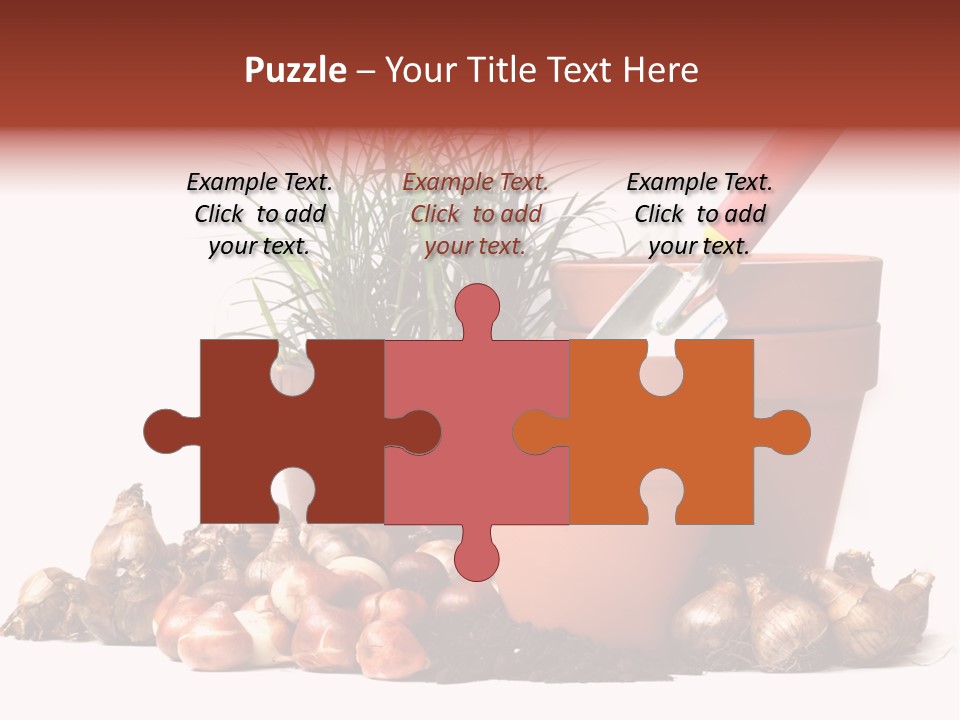 Spring Bulbs PowerPoint Template