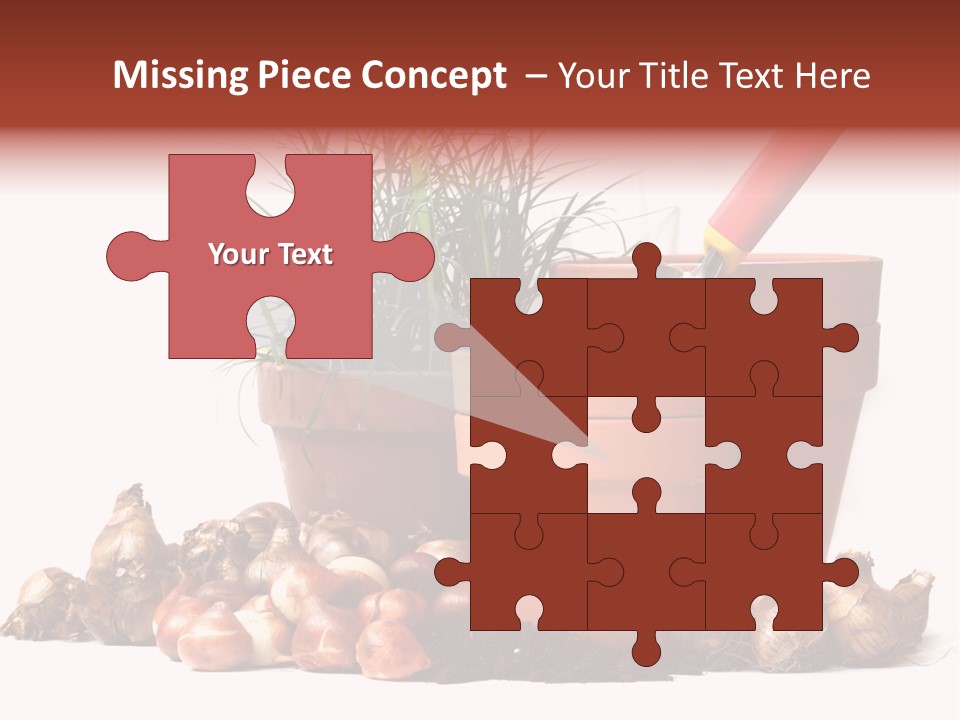 Spring Bulbs PowerPoint Template