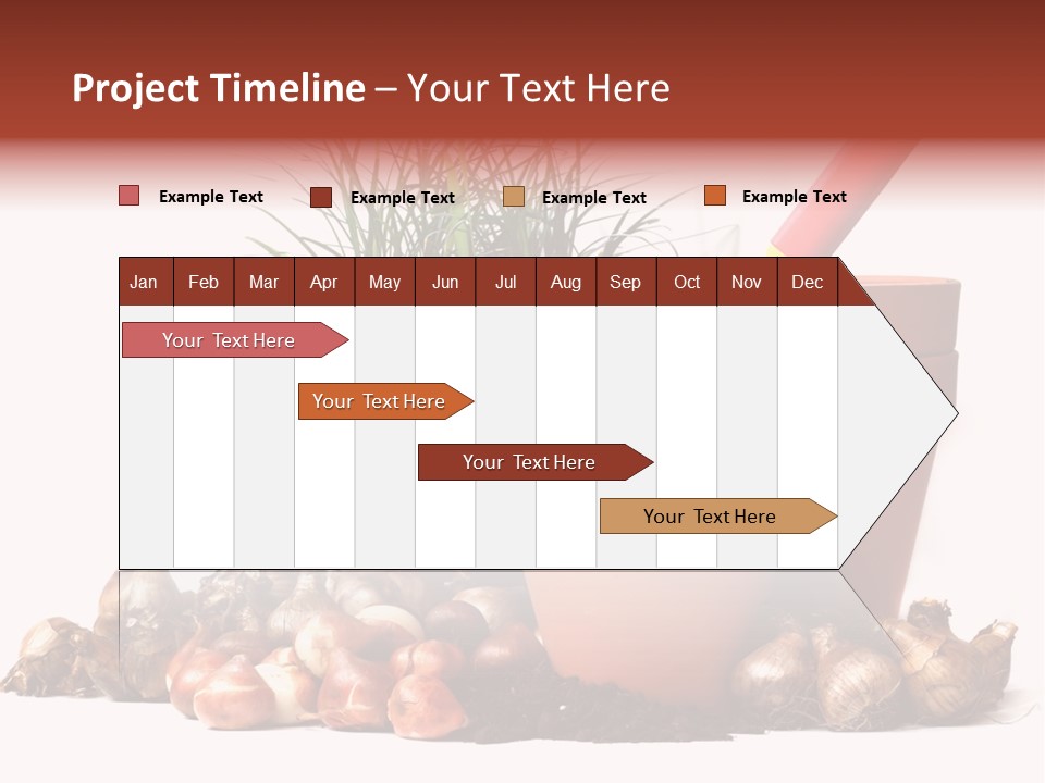 Spring Bulbs PowerPoint Template