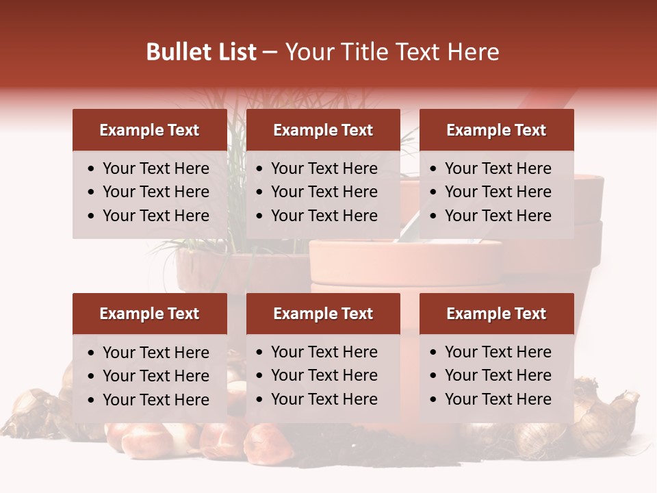 Spring Bulbs PowerPoint Template