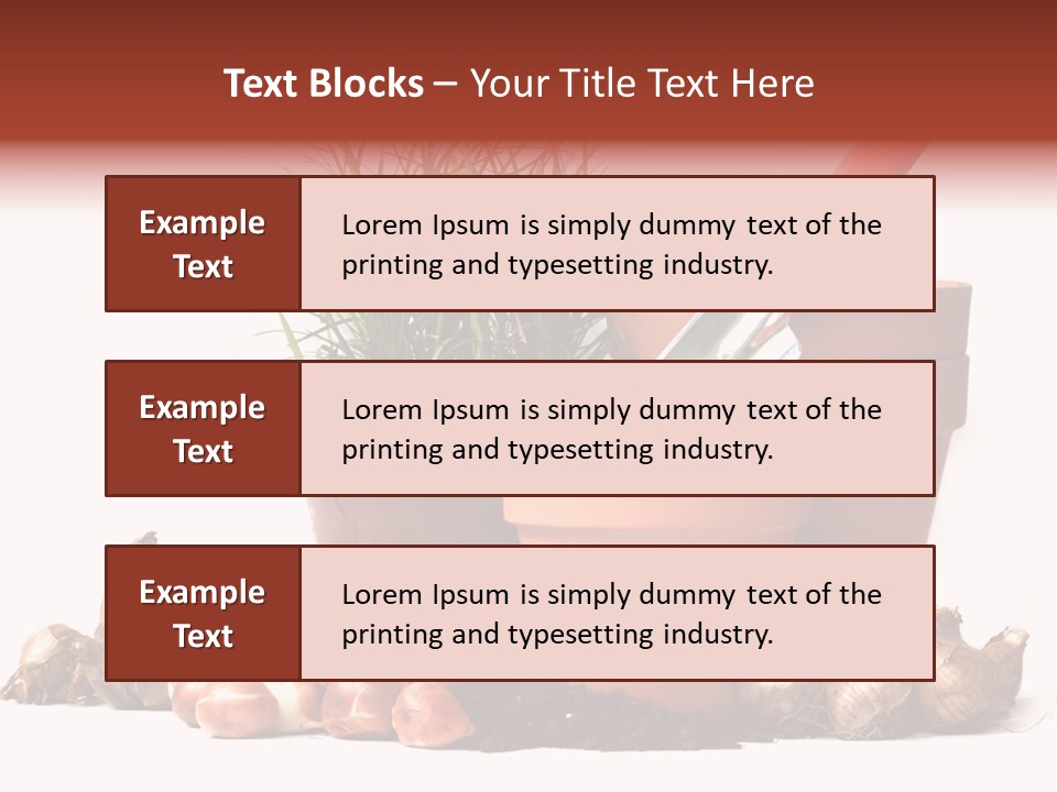 Spring Bulbs PowerPoint Template