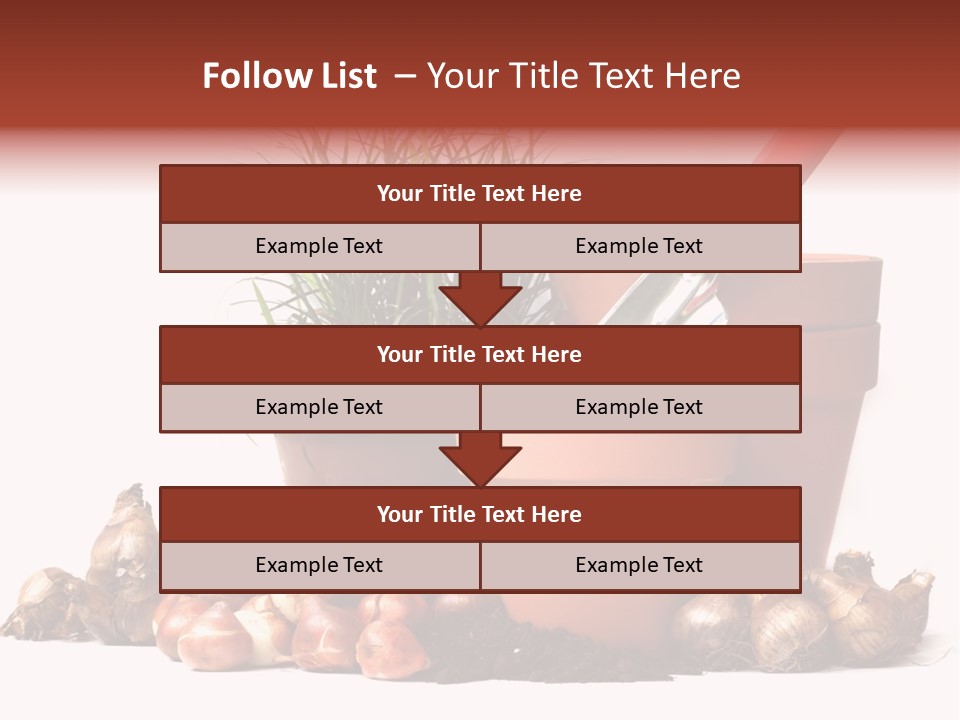 Spring Bulbs PowerPoint Template
