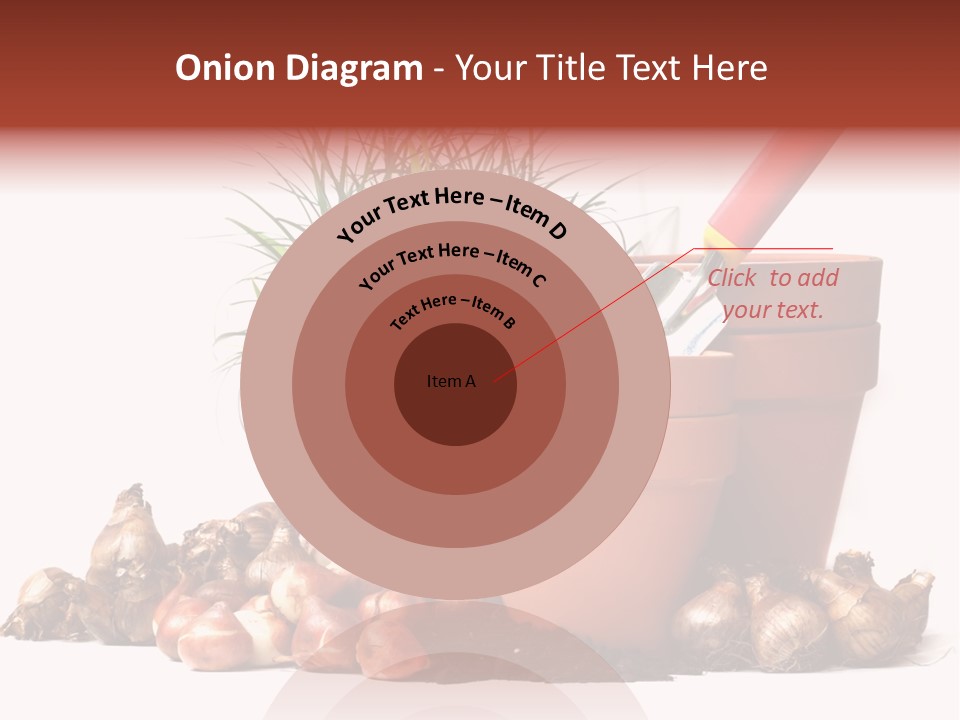 Spring Bulbs PowerPoint Template