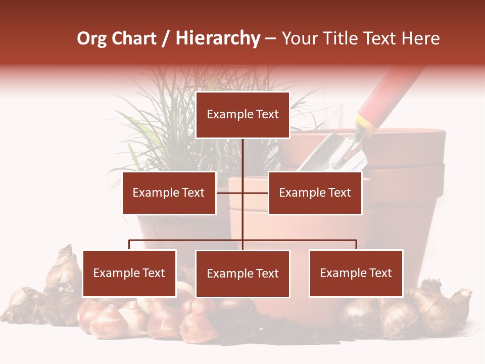 Spring Bulbs PowerPoint Template