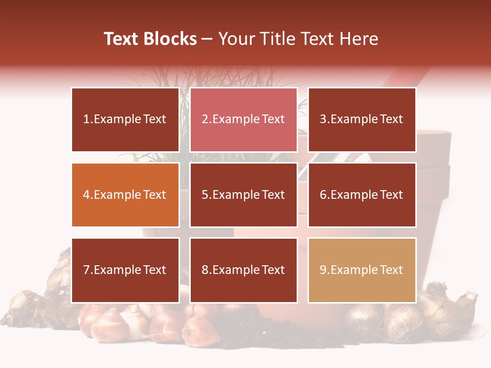 Spring Bulbs PowerPoint Template