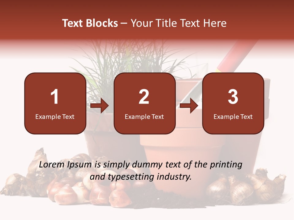 Spring Bulbs PowerPoint Template