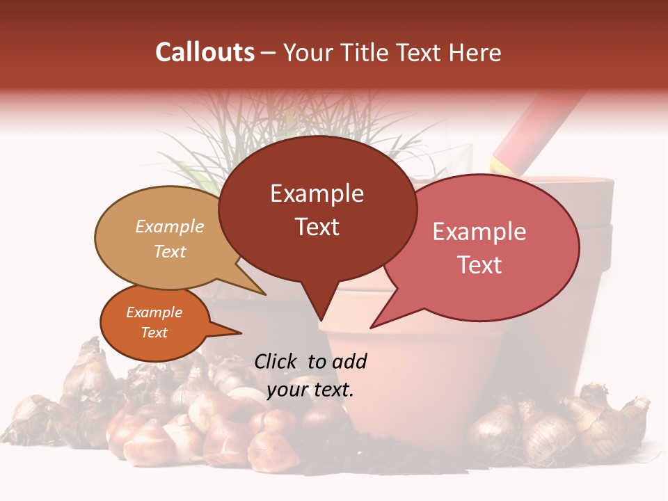 Spring Bulbs PowerPoint Template