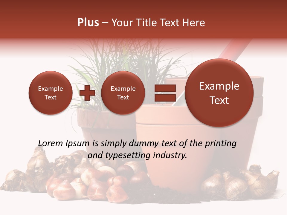 Spring Bulbs PowerPoint Template