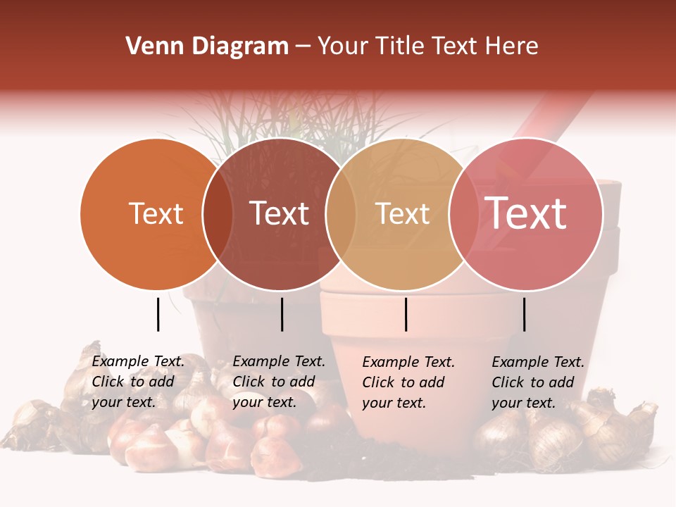 Spring Bulbs PowerPoint Template