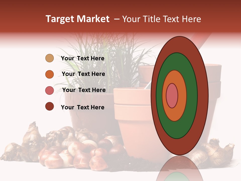 Spring Bulbs PowerPoint Template