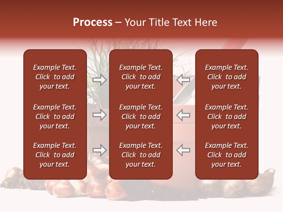 Spring Bulbs PowerPoint Template