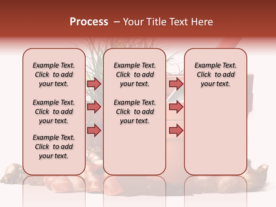 Spring Bulbs PowerPoint Template