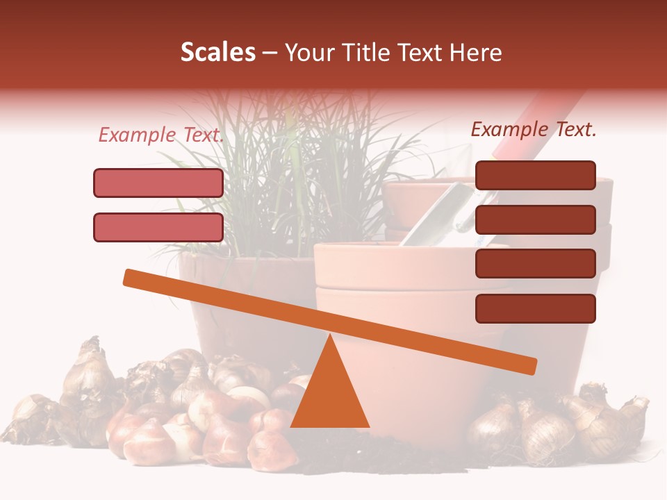 Spring Bulbs PowerPoint Template