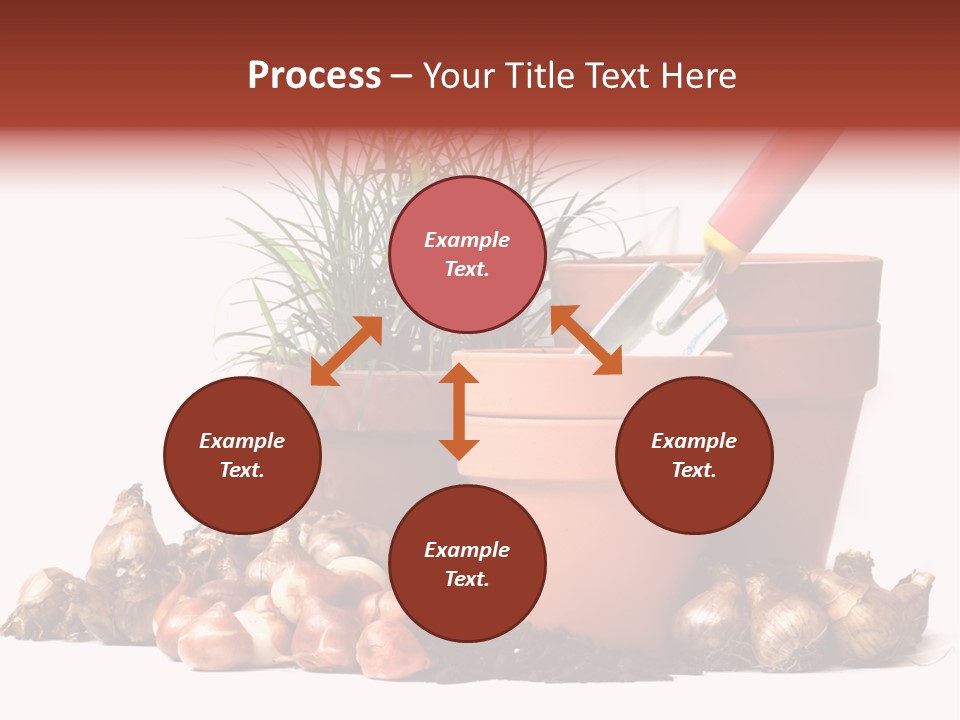 Spring Bulbs PowerPoint Template