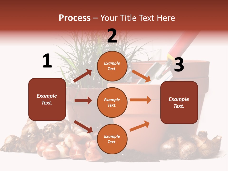 Spring Bulbs PowerPoint Template