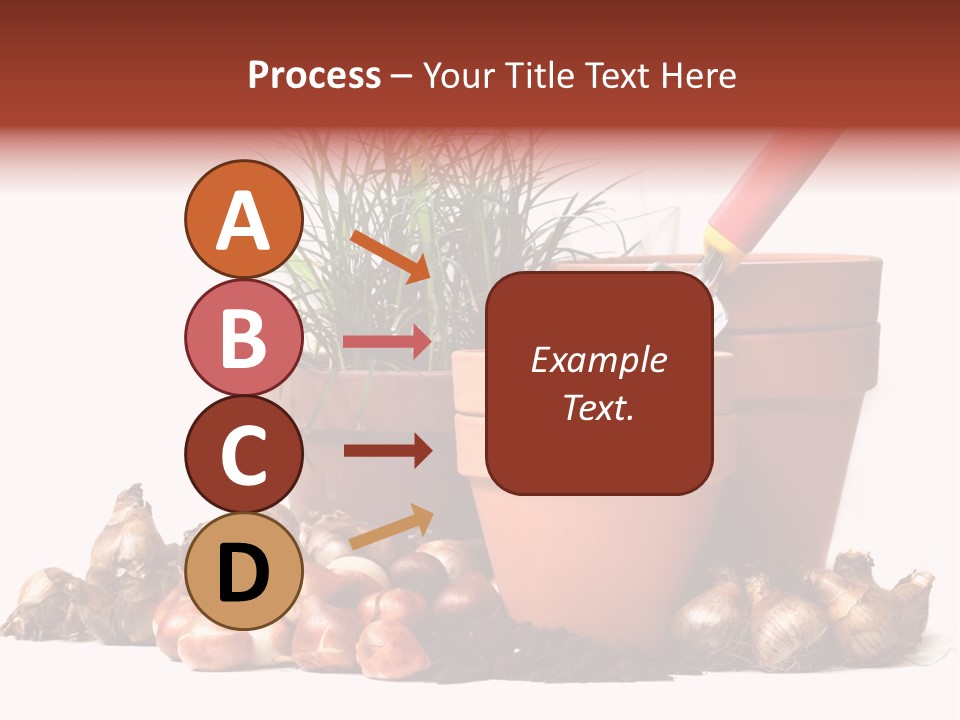 Spring Bulbs PowerPoint Template