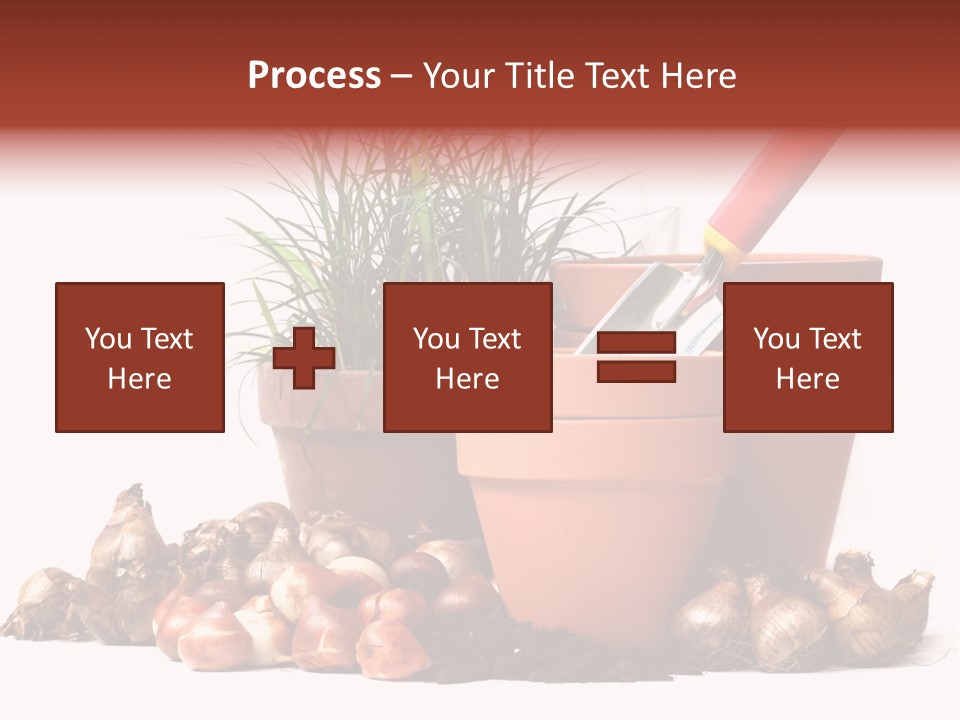 Spring Bulbs PowerPoint Template