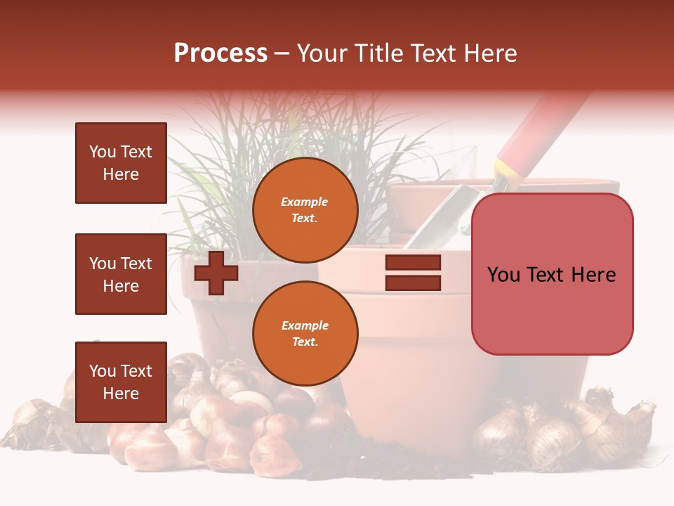 Spring Bulbs PowerPoint Template