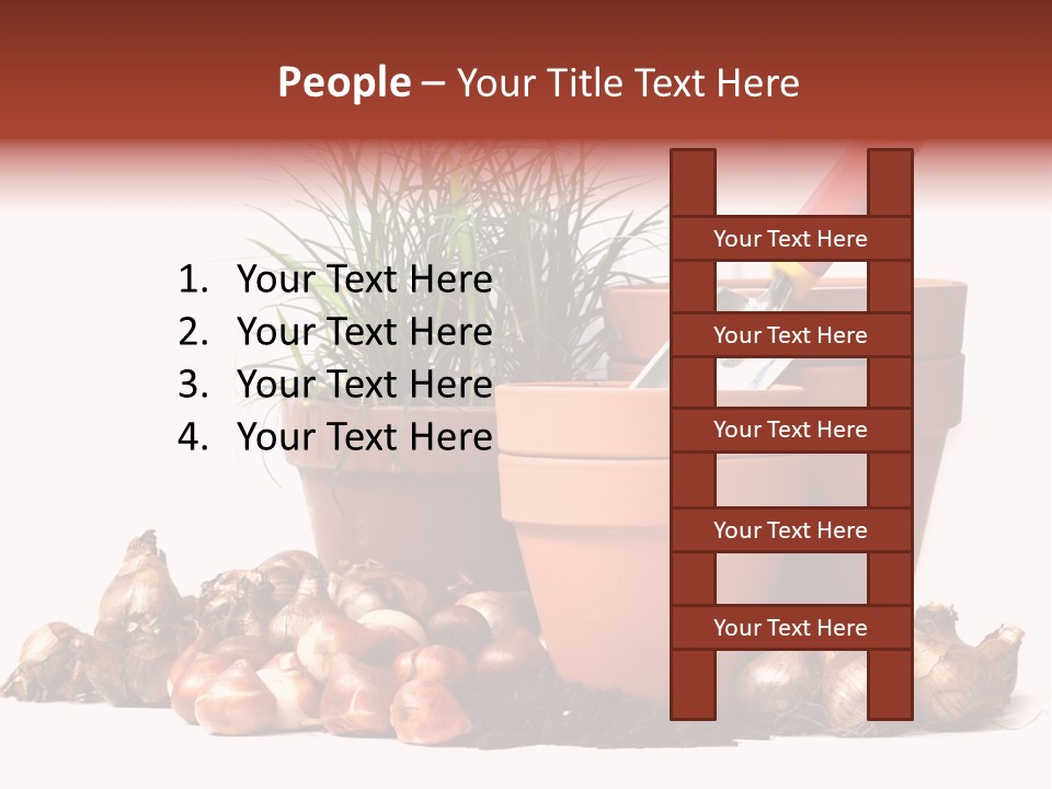 Spring Bulbs PowerPoint Template