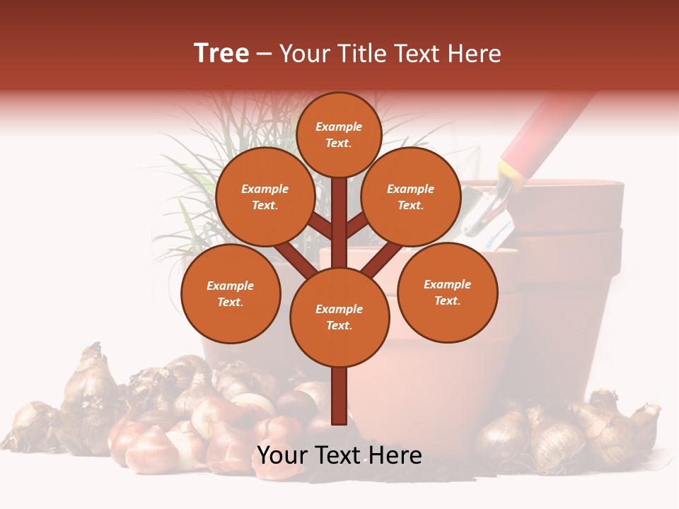 Spring Bulbs PowerPoint Template