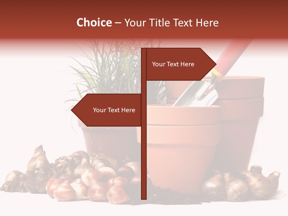 Spring Bulbs PowerPoint Template