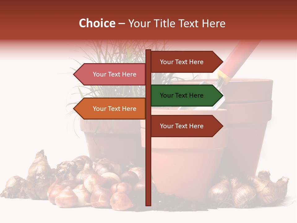 Spring Bulbs PowerPoint Template