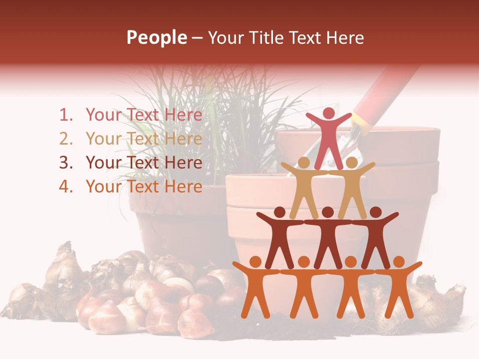 Spring Bulbs PowerPoint Template