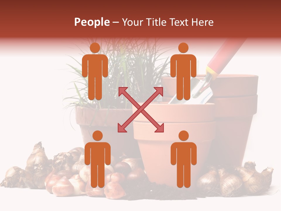 Spring Bulbs PowerPoint Template