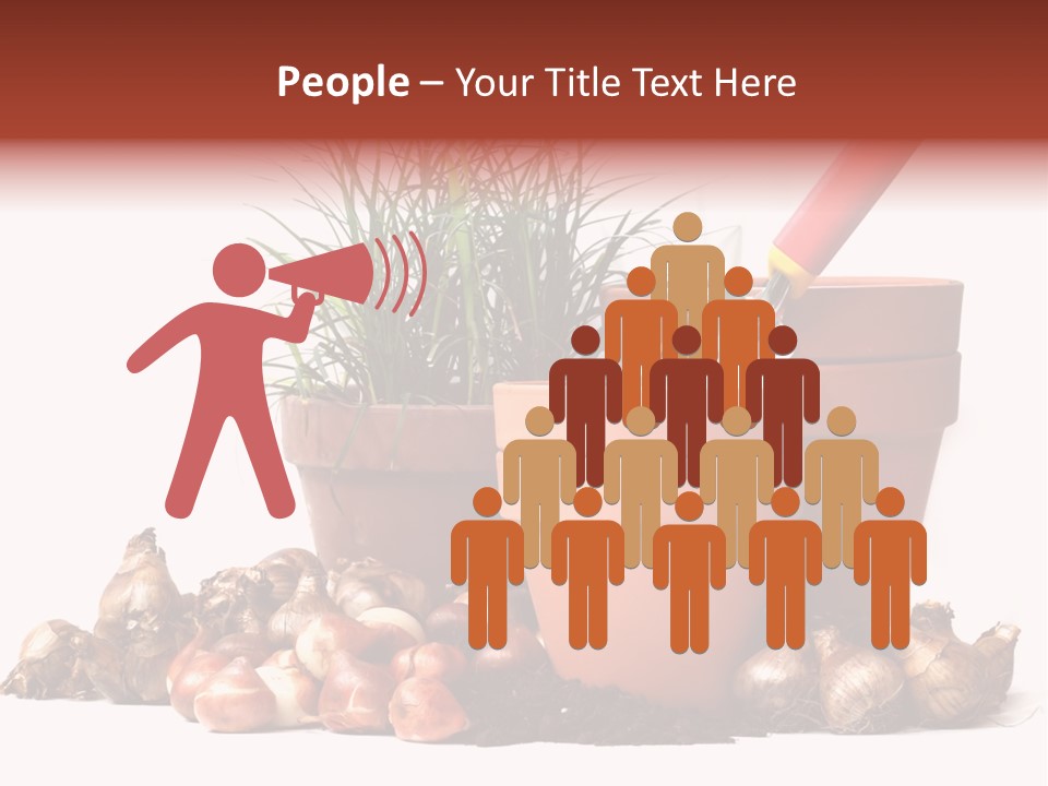 Spring Bulbs PowerPoint Template