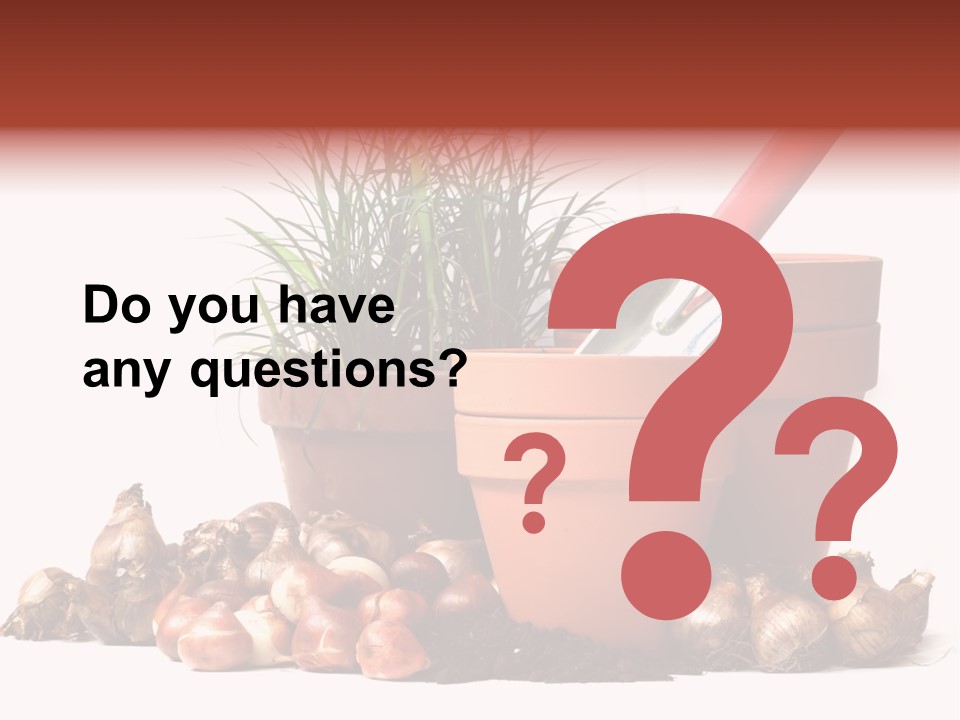 Spring Bulbs PowerPoint Template