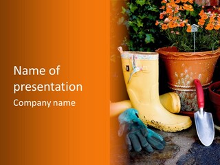 Garden Tools PowerPoint Template