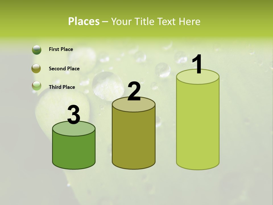 Drops On A Leaf PowerPoint Template