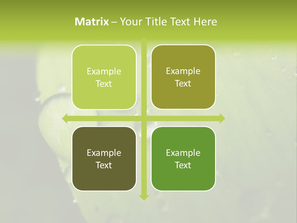 Drops On A Leaf PowerPoint Template