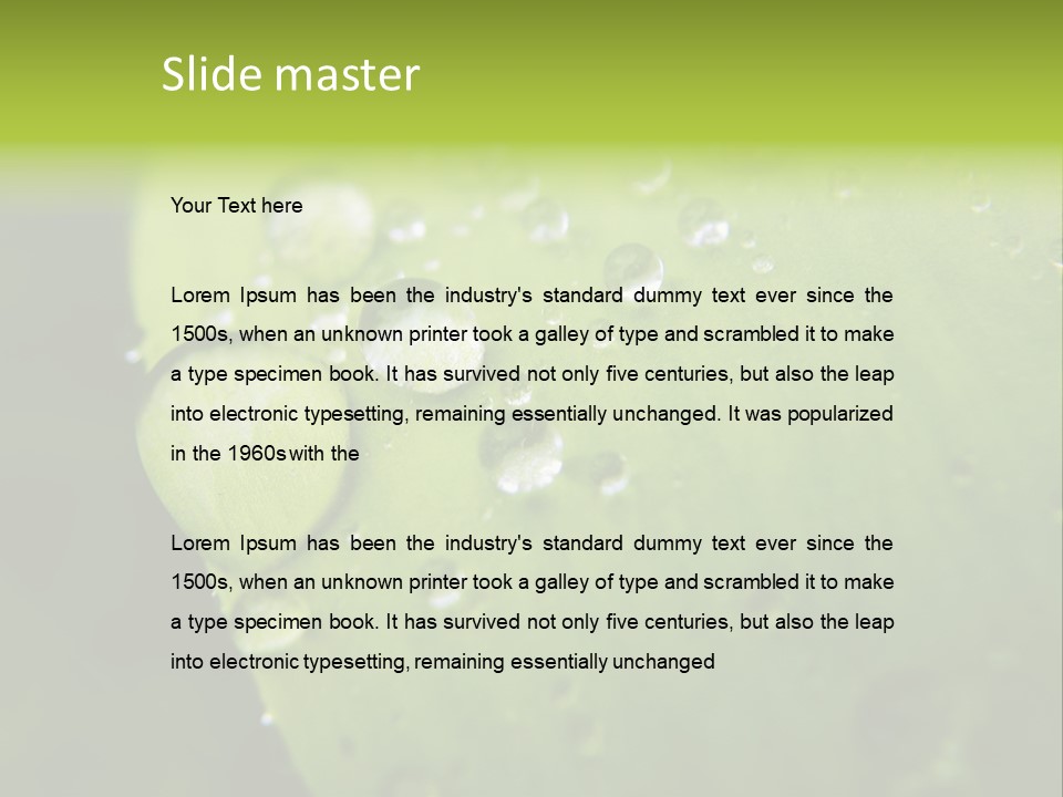 Drops On A Leaf PowerPoint Template