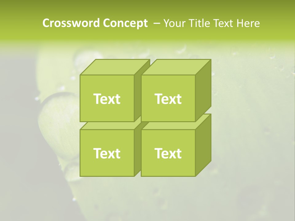 Drops On A Leaf PowerPoint Template