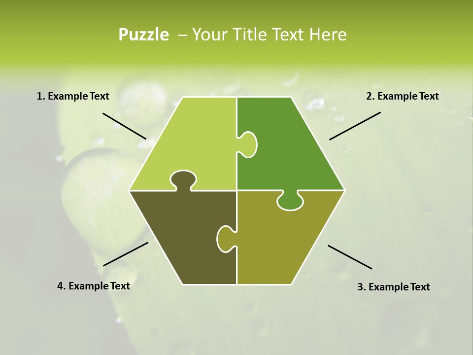 Drops On A Leaf PowerPoint Template