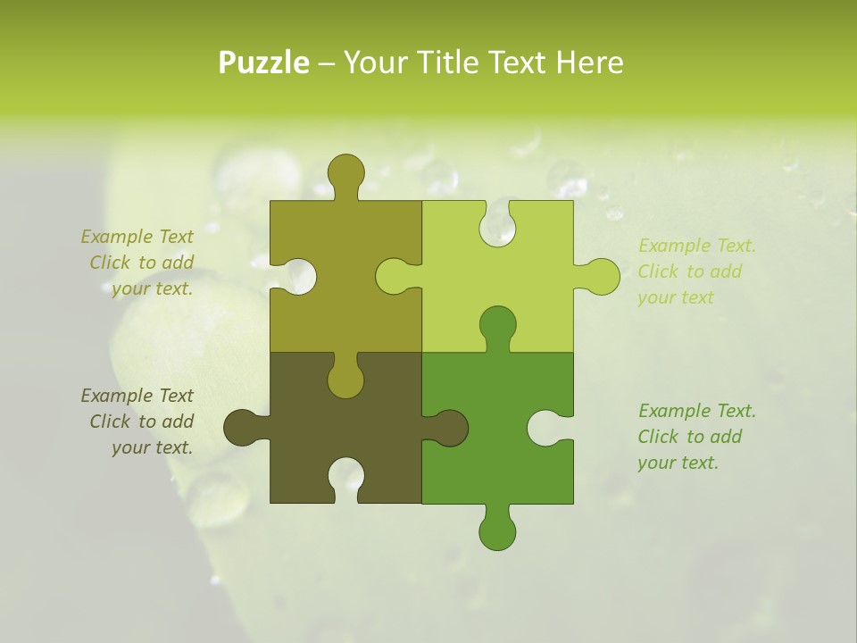 Drops On A Leaf PowerPoint Template