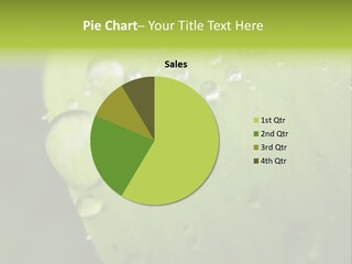 Drops On A Leaf PowerPoint Template