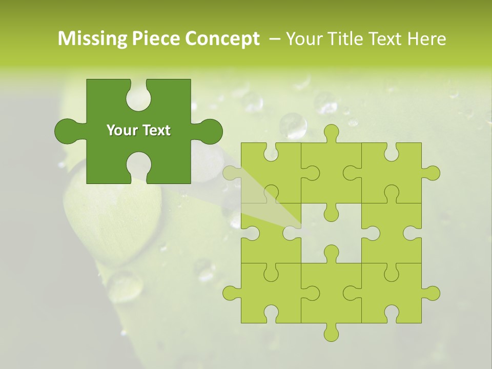 Drops On A Leaf PowerPoint Template
